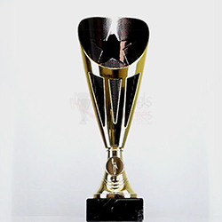 Dianna Cup Gold/Black 290mm