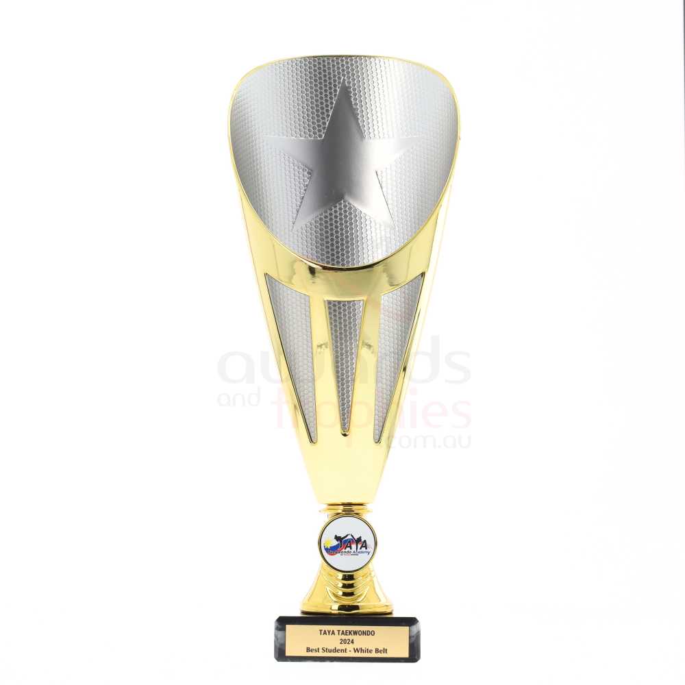 Dianna Cup Gold/Silver 290mm