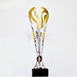 Equinox Cup Silver/Gold 300mm