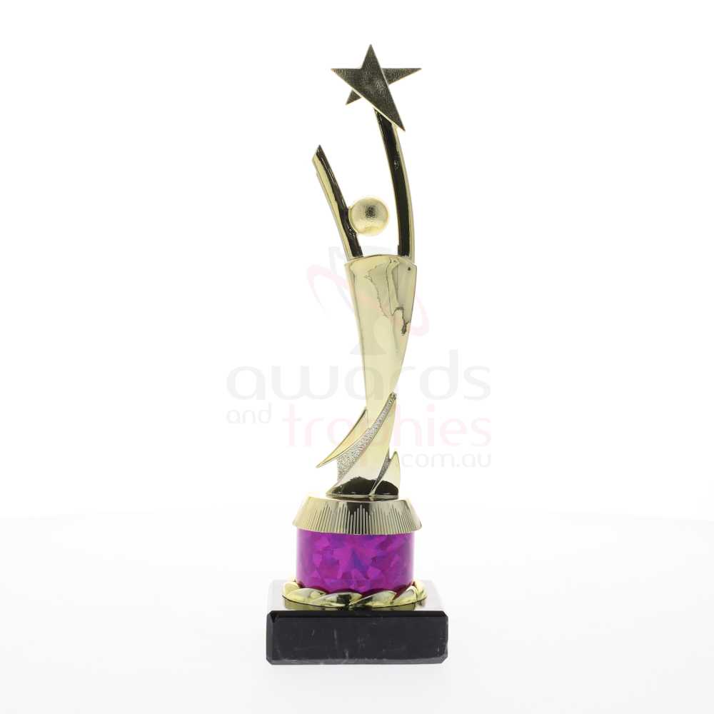 Star Achievement Purple 255mm