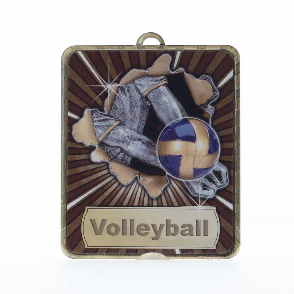 Lynx Medal Volleyball 75mm